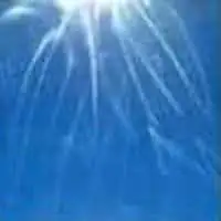 Hologramas